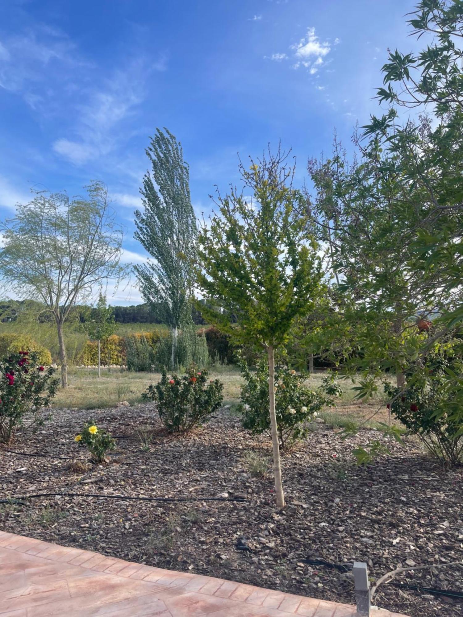 קרבקה דה לה קרוז Casa Rural Villa Cruz מראה חיצוני תמונה