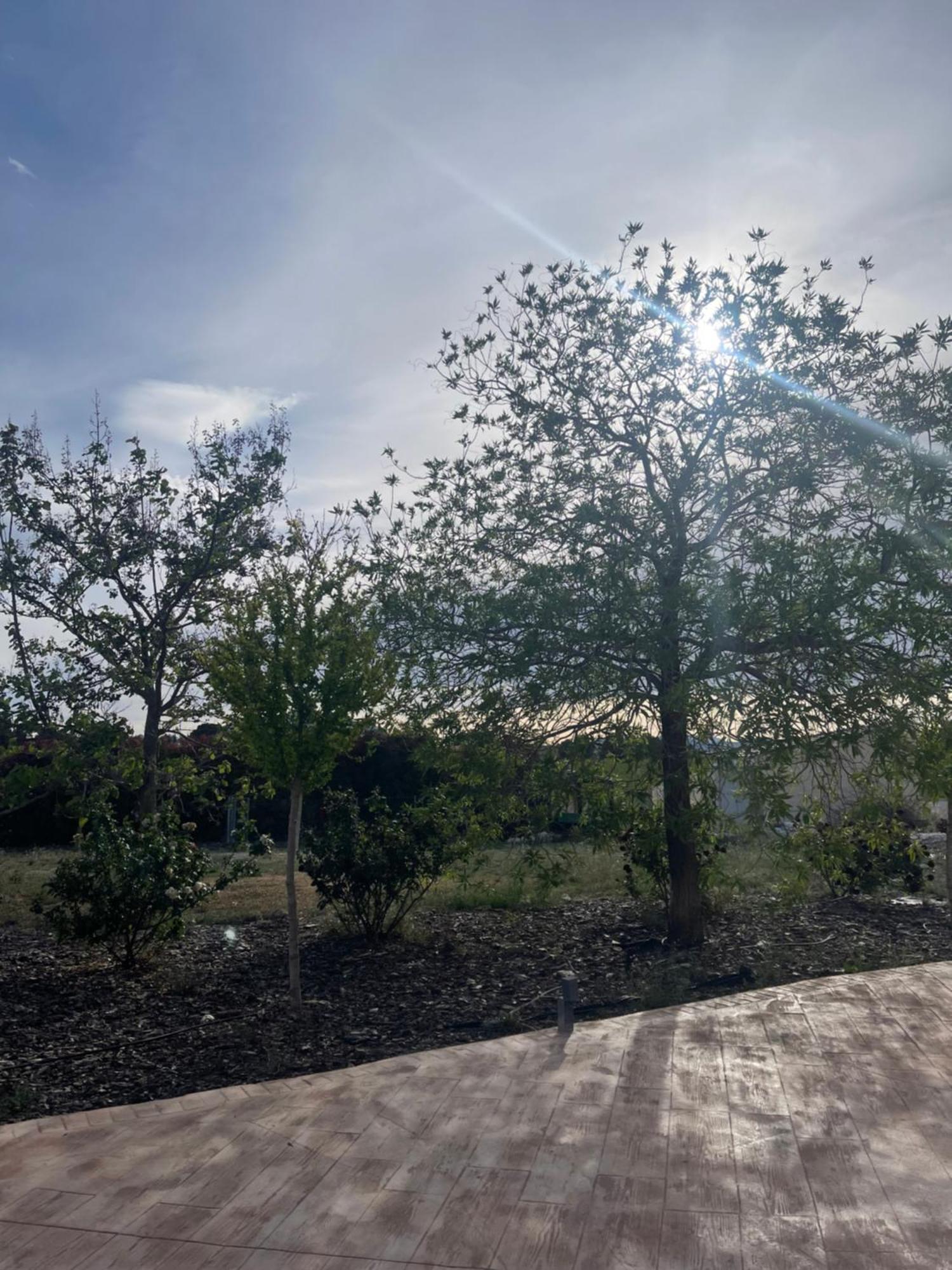 קרבקה דה לה קרוז Casa Rural Villa Cruz מראה חיצוני תמונה